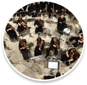 Dubrovnik Symphony Orchestra
